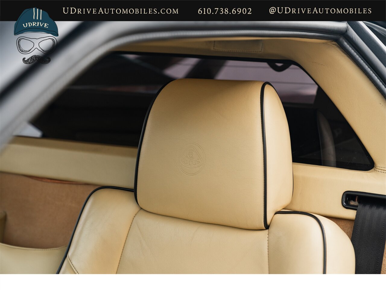 2003 Lotus Esprit V8   - Photo 42 - West Chester, PA 19382