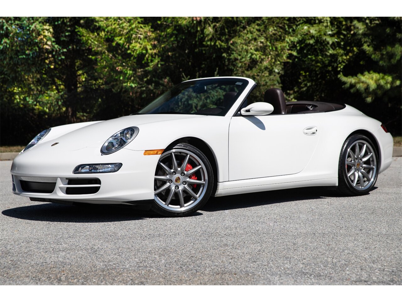 チャピー 0354979ec9_1280.jpg