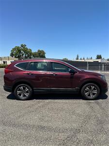 2019 Honda CR-V LX   - Photo 6 - Sacramento, CA 95823