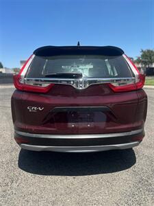 2019 Honda CR-V LX   - Photo 4 - Sacramento, CA 95823