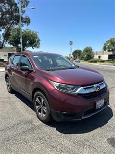 2019 Honda CR-V LX   - Photo 7 - Sacramento, CA 95823