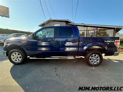 2009 Ford F-150 XL  