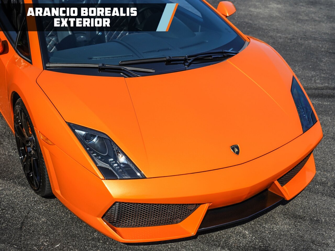 2010 Lamborghini Gallardo LP 560-4 Spyder   - Photo 7 - Bonita Springs, FL 34134