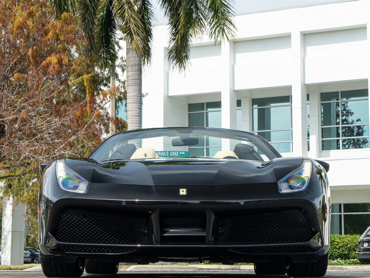 2017 Ferrari 488 Spider   - Photo 6 - Bonita Springs, FL 34134