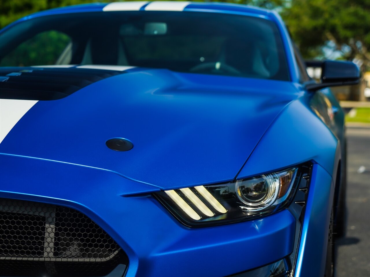 2020 Ford Mustang Shelby GT500   - Photo 6 - Bonita Springs, FL 34134