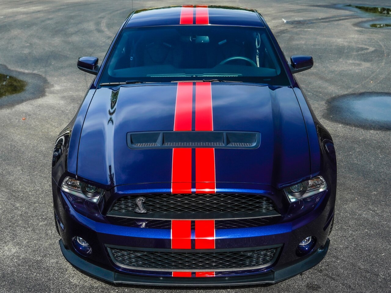 2012 Ford Mustang Shelby GT500   - Photo 5 - Bonita Springs, FL 34134