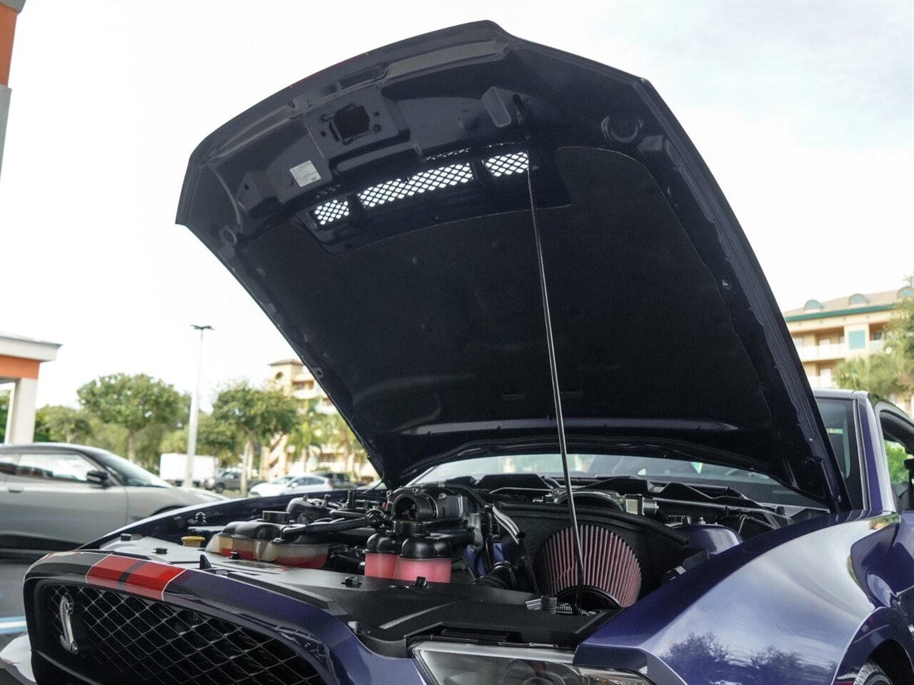 2012 Ford Mustang Shelby GT500   - Photo 32 - Bonita Springs, FL 34134