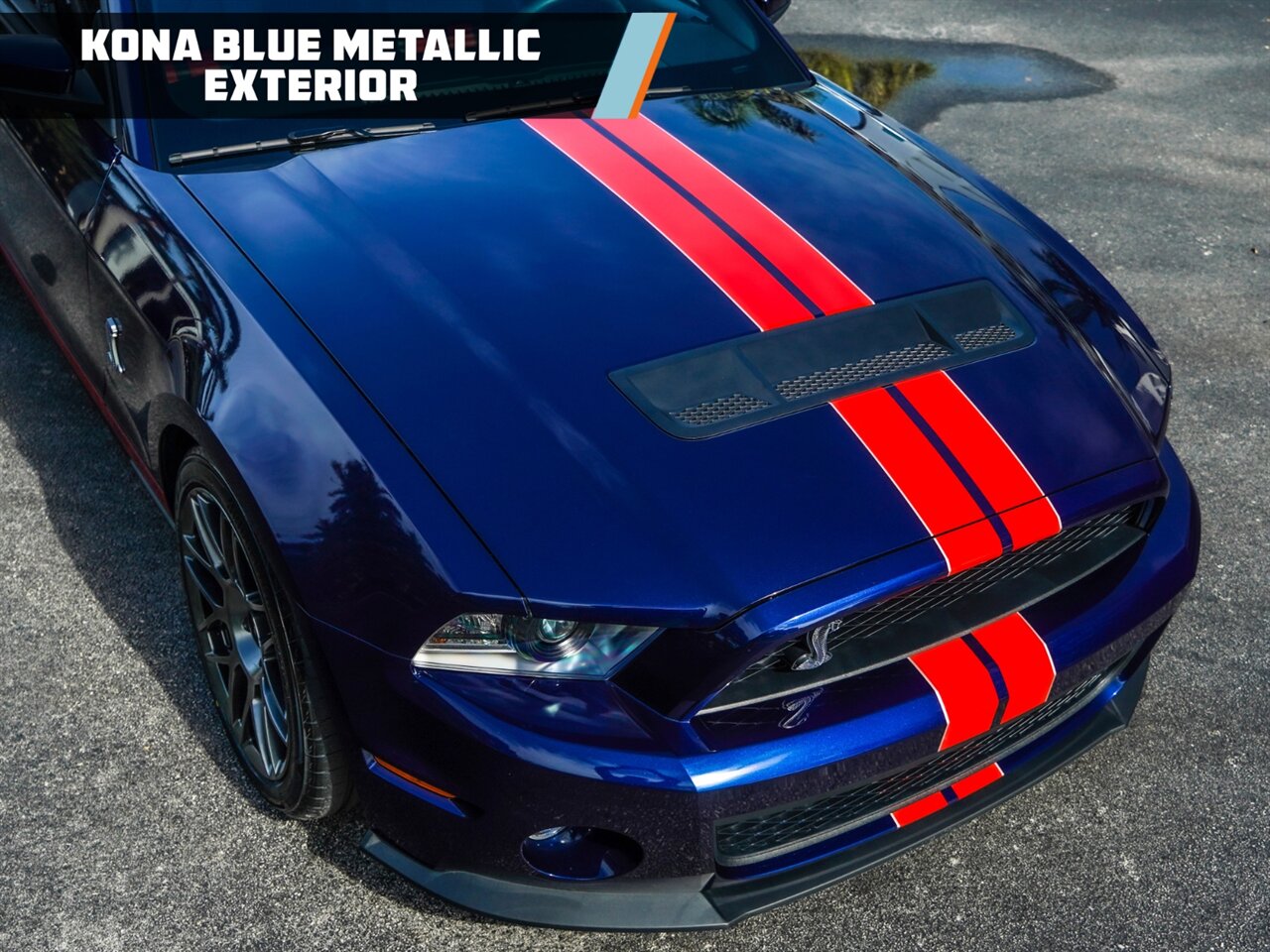 2012 Ford Mustang Shelby GT500   - Photo 7 - Bonita Springs, FL 34134