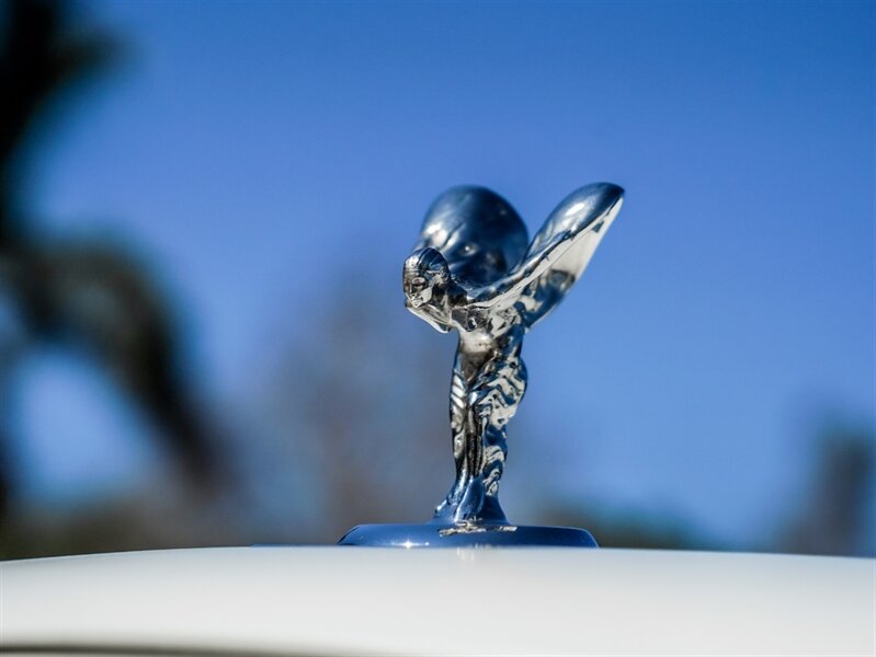 2019 Rolls-Royce Cullinan - Photo 11 - Bonita Springs, FL 34134