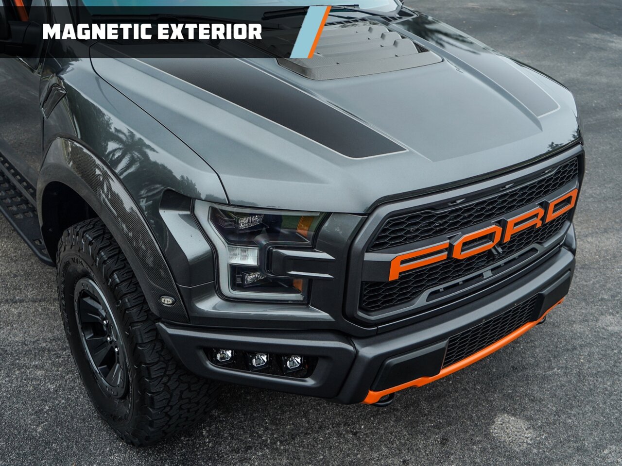 2018 Ford F-150 Raptor   - Photo 7 - Bonita Springs, FL 34134