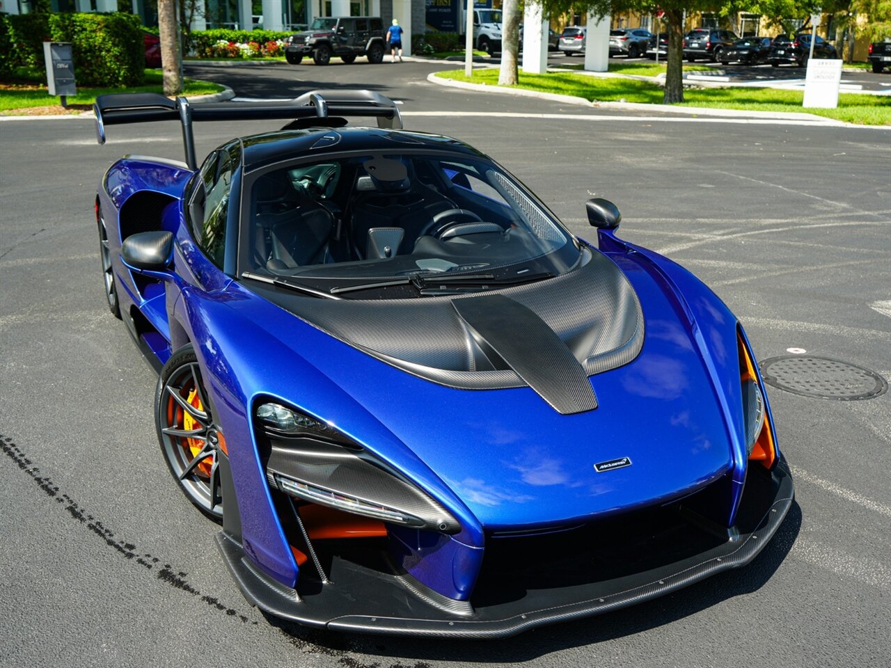 2019 McLaren Senna - Photo 66 - Bonita Springs, FL 34134