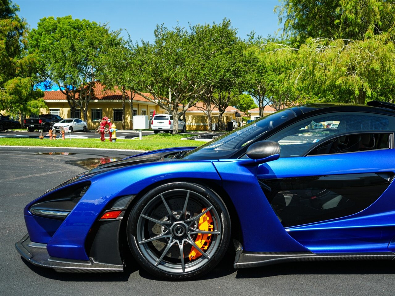 2019 McLaren Senna - Photo 37 - Bonita Springs, FL 34134