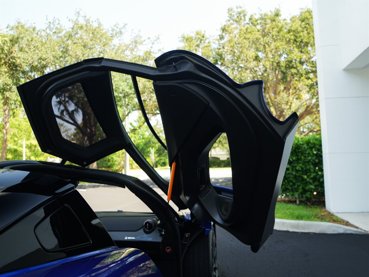 2019 McLaren Senna - Photo 35 - Bonita Springs, FL 34134