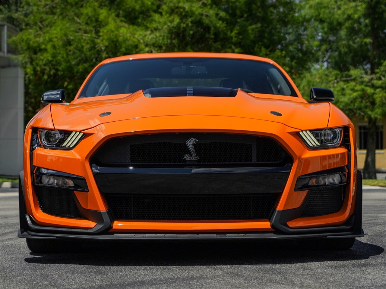 2021 Ford Mustang Shelby GT500   - Photo 8 - Bonita Springs, FL 34134