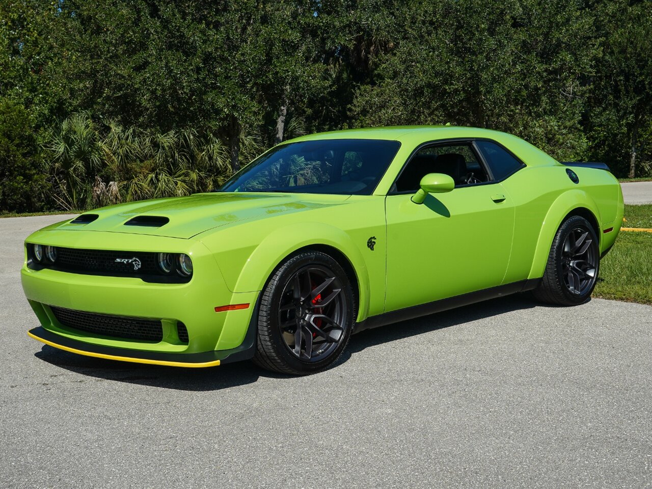 2019 Dodge Challenger SRT Hellcat Redeye   - Photo 47 - Bonita Springs, FL 34134