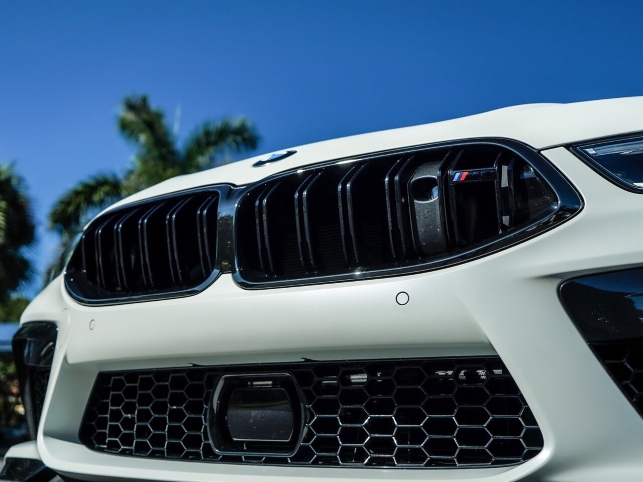 2020 BMW M8 Competition   - Photo 6 - Bonita Springs, FL 34134