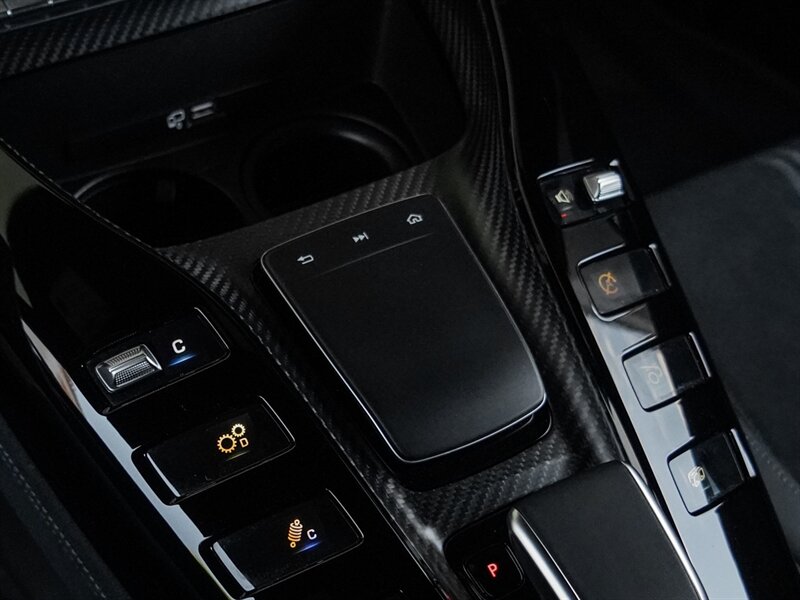 2021 Mercedes-Benz AMG GT Black Series - Photo 29 - Bonita Springs, FL 34134