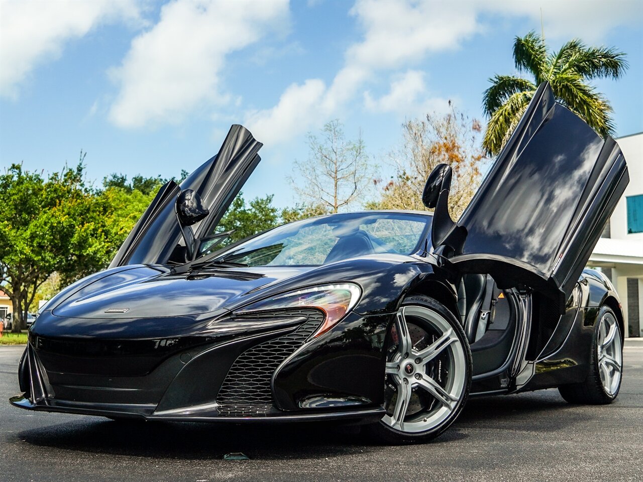 2015 McLaren 650S Spider   - Photo 12 - Bonita Springs, FL 34134