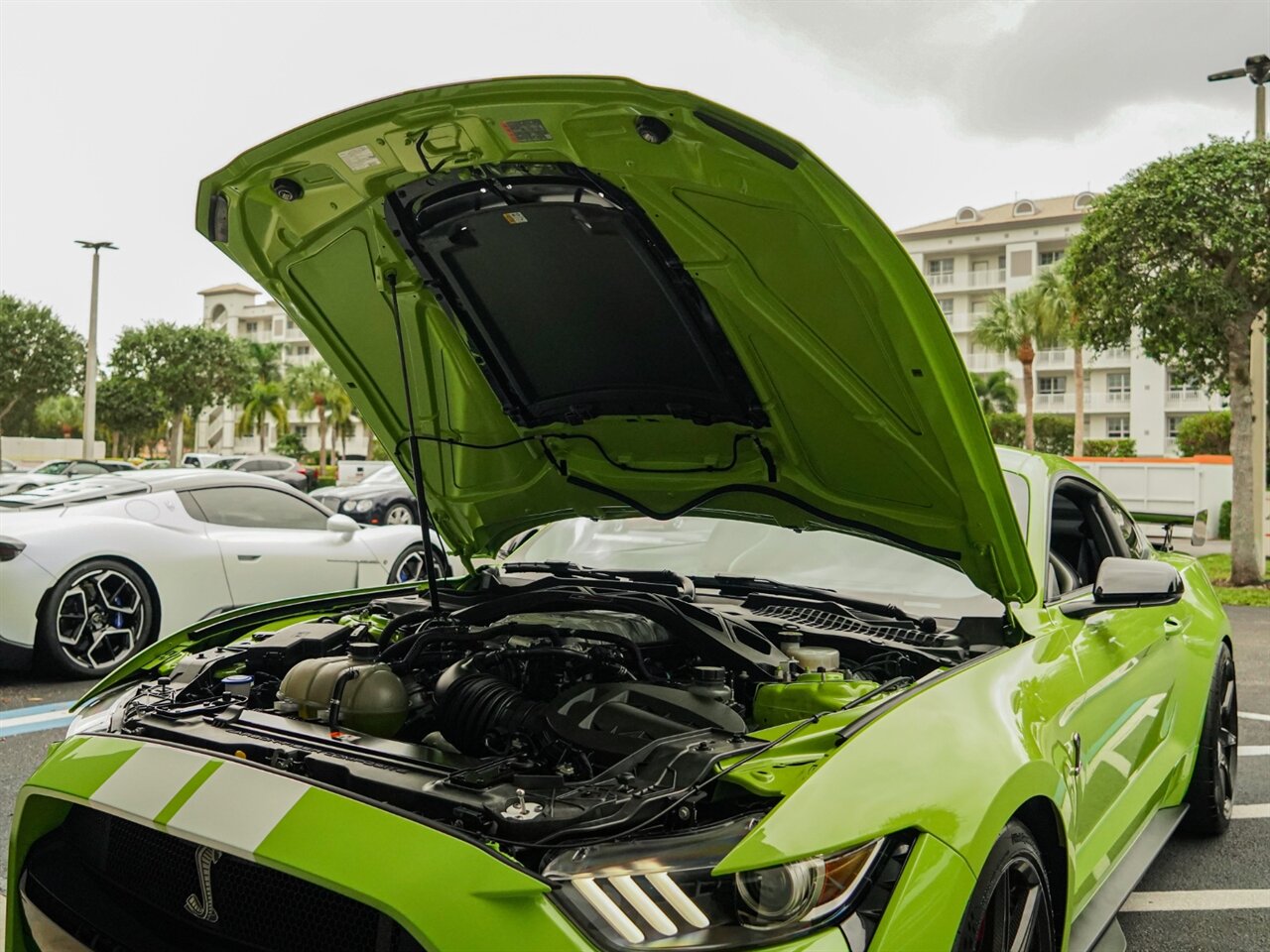 2020 Ford Mustang Shelby GT500   - Photo 42 - Bonita Springs, FL 34134