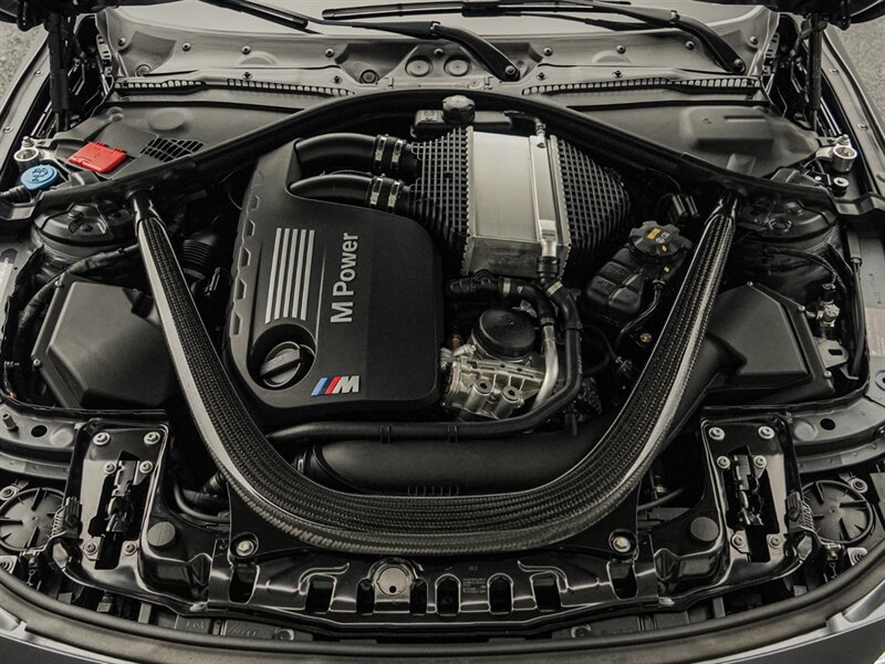 2016 BMW M4 GTS - Photo 39 - Bonita Springs, FL 34134