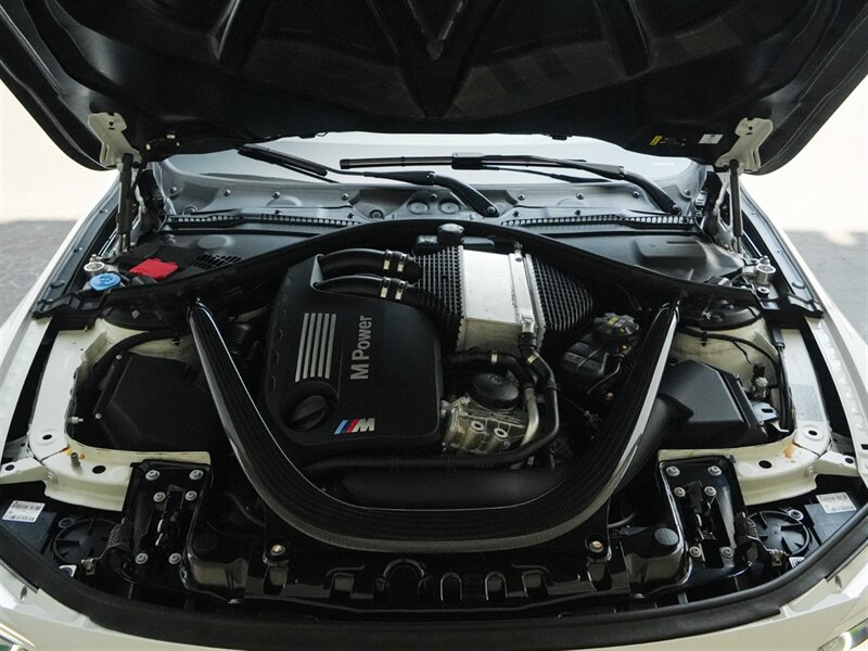 2016 BMW M4 GTS - Photo 44 - Bonita Springs, FL 34134