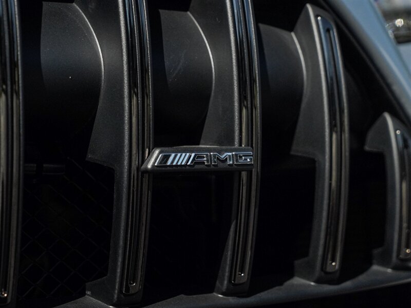 2021 Mercedes-Benz AMG GT Black Series - Photo 7 - Bonita Springs, FL 34134