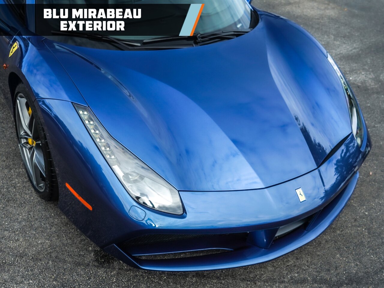 2017 Ferrari 488 Spider   - Photo 7 - Bonita Springs, FL 34134