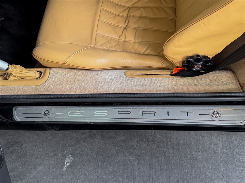 2001 Lotus Esprit - Photo 20 - Bonita Springs, FL 34134