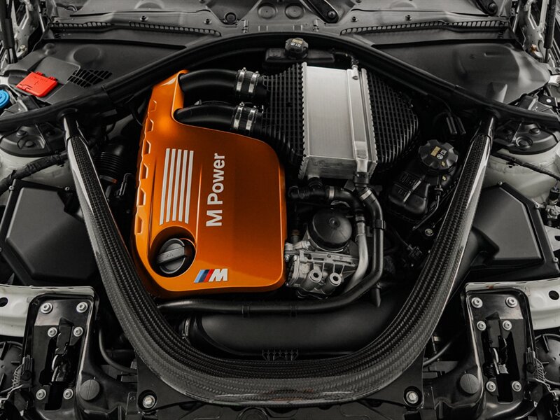 2016 BMW M4 GTS - Photo 41 - Bonita Springs, FL 34134