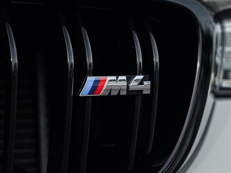 2016 BMW M4 GTS - Photo 8 - Bonita Springs, FL 34134