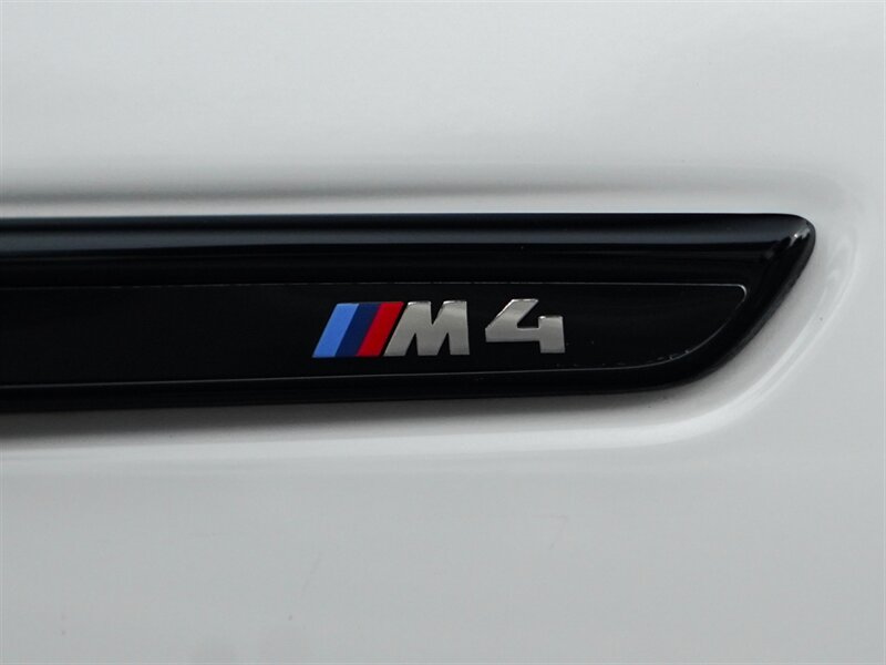 2016 BMW M4 GTS - Photo 80 - Bonita Springs, FL 34134