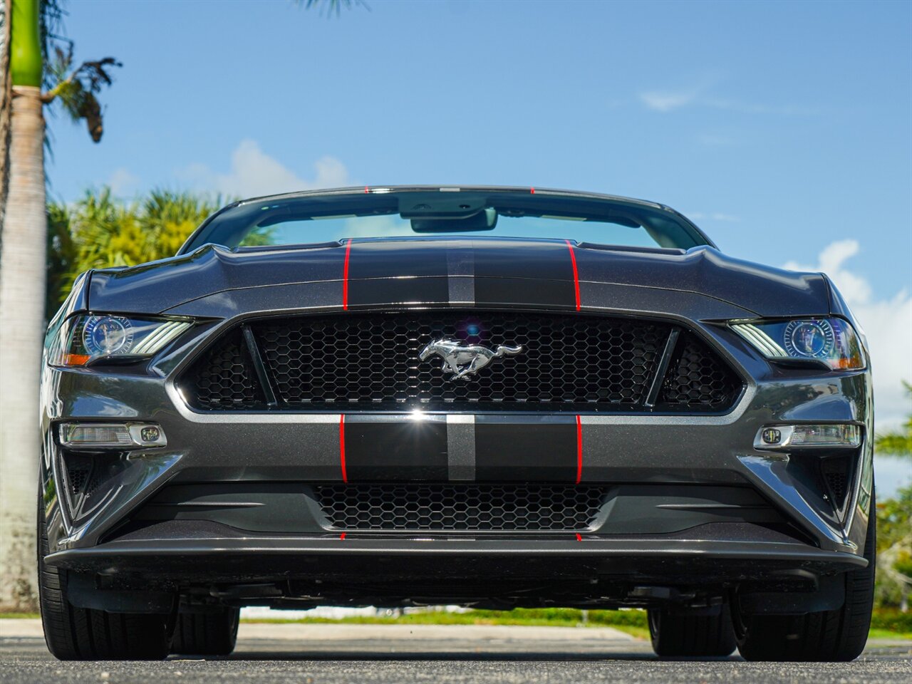 2019 Ford Mustang GT Premium   - Photo 5 - Bonita Springs, FL 34134