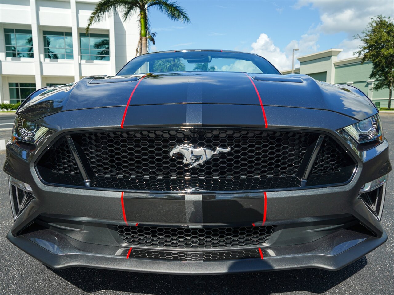 2019 Ford Mustang GT Premium   - Photo 7 - Bonita Springs, FL 34134