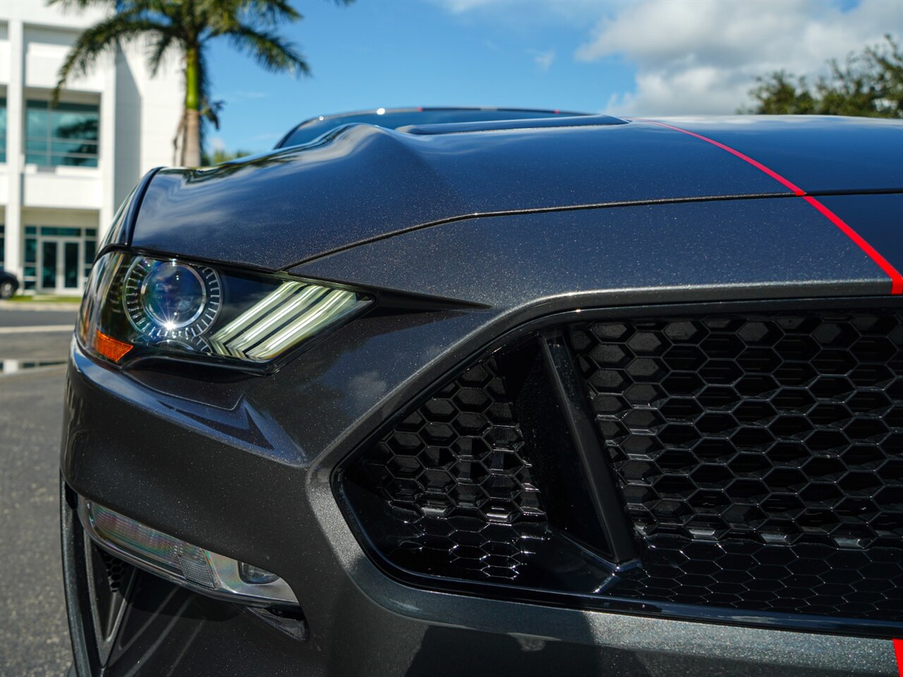 2019 Ford Mustang GT Premium   - Photo 6 - Bonita Springs, FL 34134