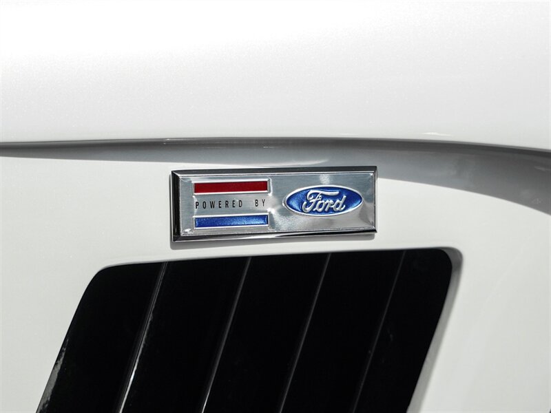 1965 BACKDRAFT RACING COBRA - Photo 66 - Bonita Springs, FL 34134