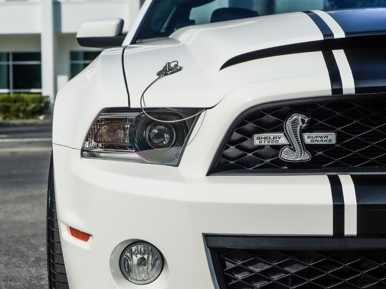 2012 Ford Mustang Shelby GT500  Super Snake - Photo 6 - Bonita Springs, FL 34134