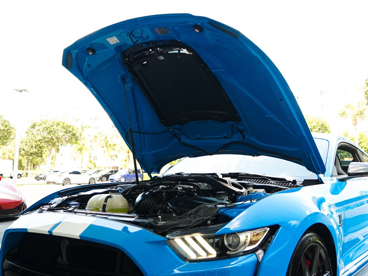 2022 Ford Mustang Shelby GT500   - Photo 33 - Bonita Springs, FL 34134