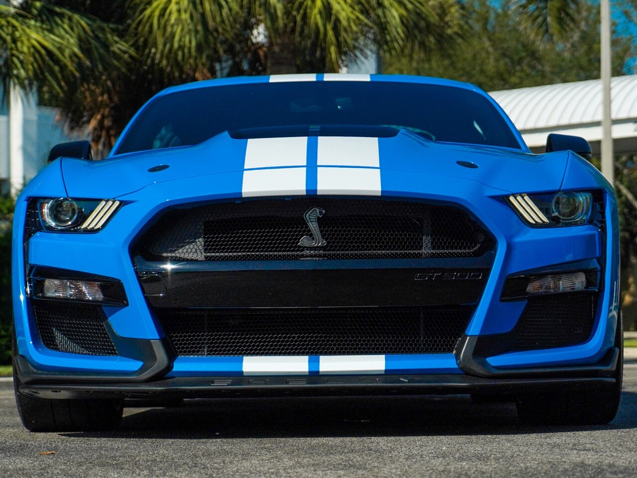 2022 Ford Mustang Shelby GT500   - Photo 6 - Bonita Springs, FL 34134