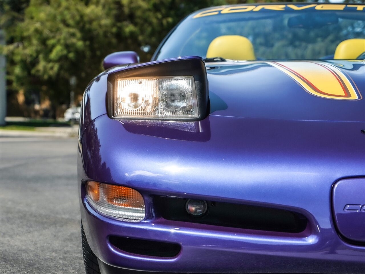 1998 Chevrolet Corvette Pace Car   - Photo 6 - Bonita Springs, FL 34134