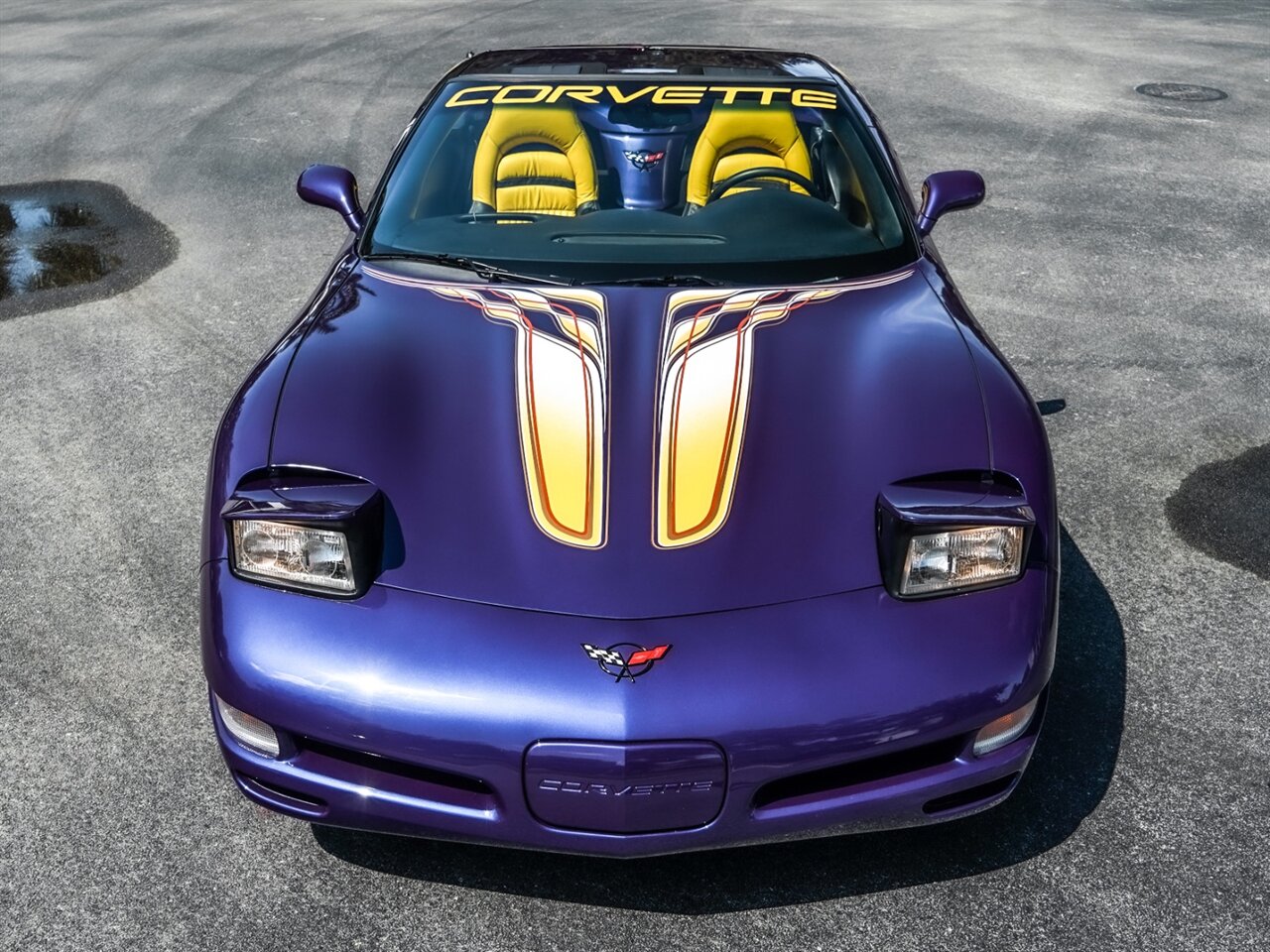 1998 Chevrolet Corvette Pace Car   - Photo 5 - Bonita Springs, FL 34134