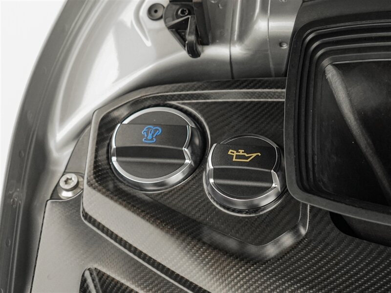 2018 Porsche 911 GT2 RS - Photo 44 - Bonita Springs, FL 34134