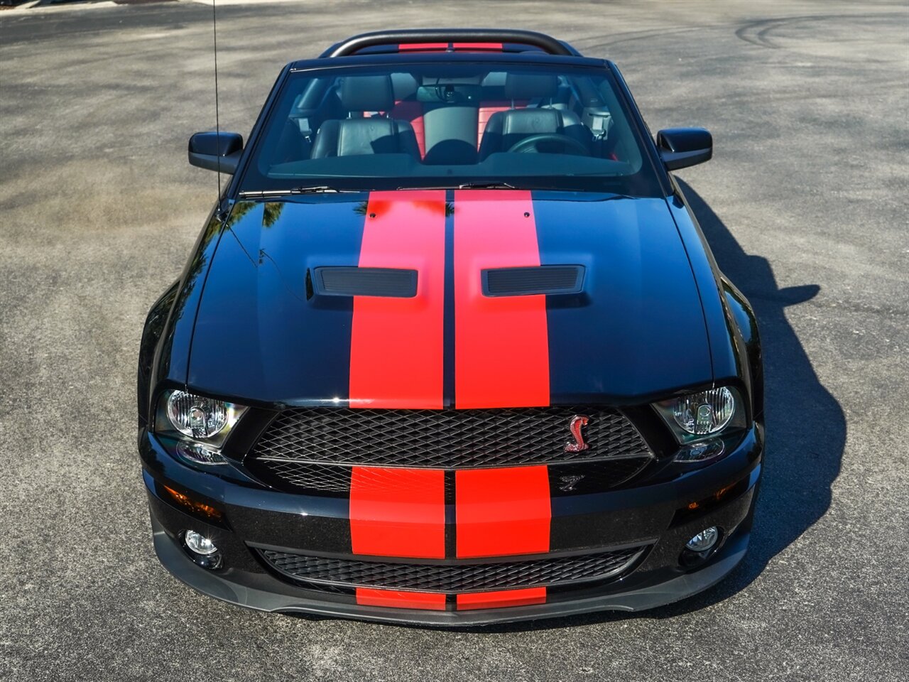 2009 Ford Shelby GT500   - Photo 5 - Bonita Springs, FL 34134