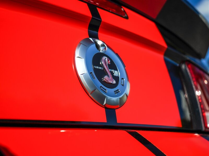 2009 Ford Shelby GT500 - Photo 41 - Bonita Springs, FL 34134