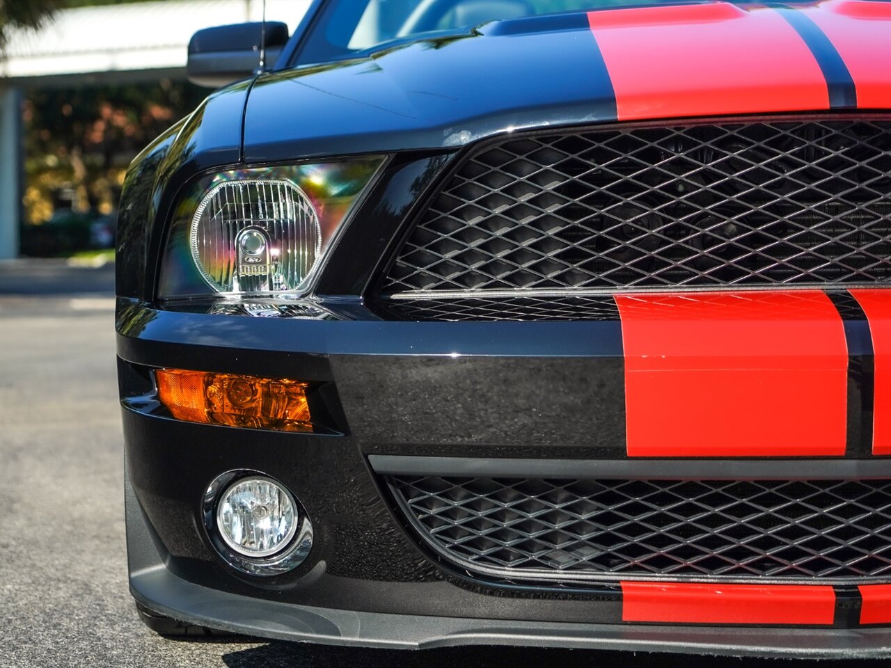 2009 Ford Shelby GT500   - Photo 6 - Bonita Springs, FL 34134