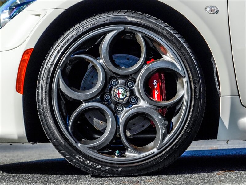 2015 Alfa Romeo 4C Launch Edition - Photo 32 - Bonita Springs, FL 34134