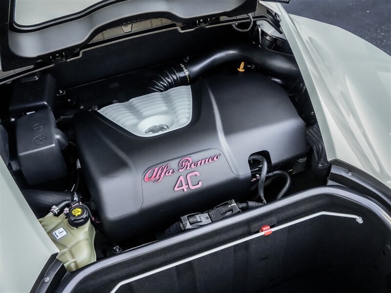 2015 Alfa Romeo 4C Launch Edition - Photo 29 - Bonita Springs, FL 34134