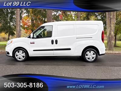 2017 RAM 1500 Tradesman SLT CARGO Van Wall Shelving  