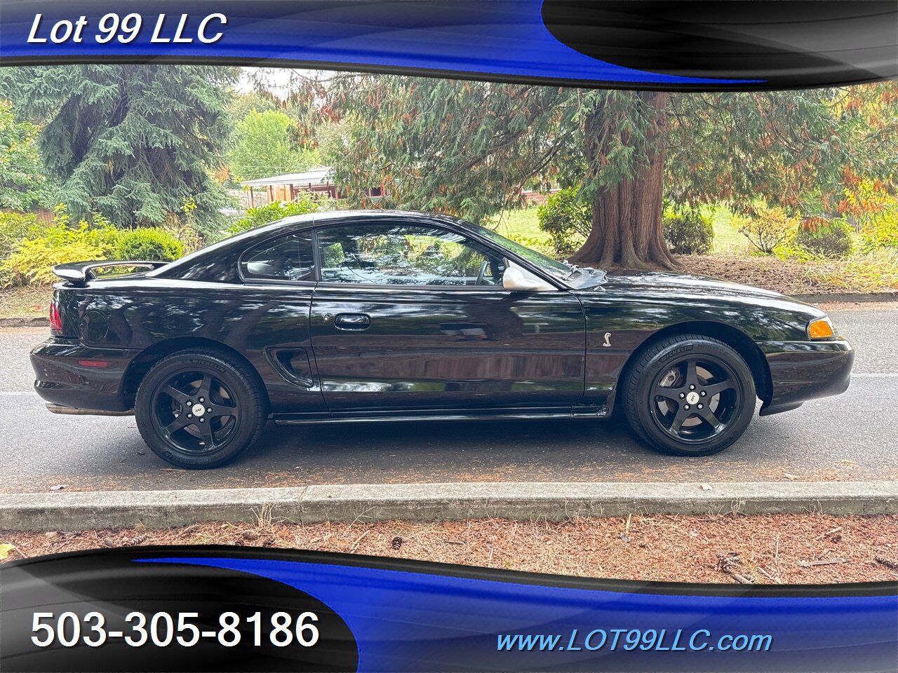 1998 Ford Mustang SVT COBRA 146k 5 Speed Manual Leather   - Photo 6 - Milwaukie, OR 97267