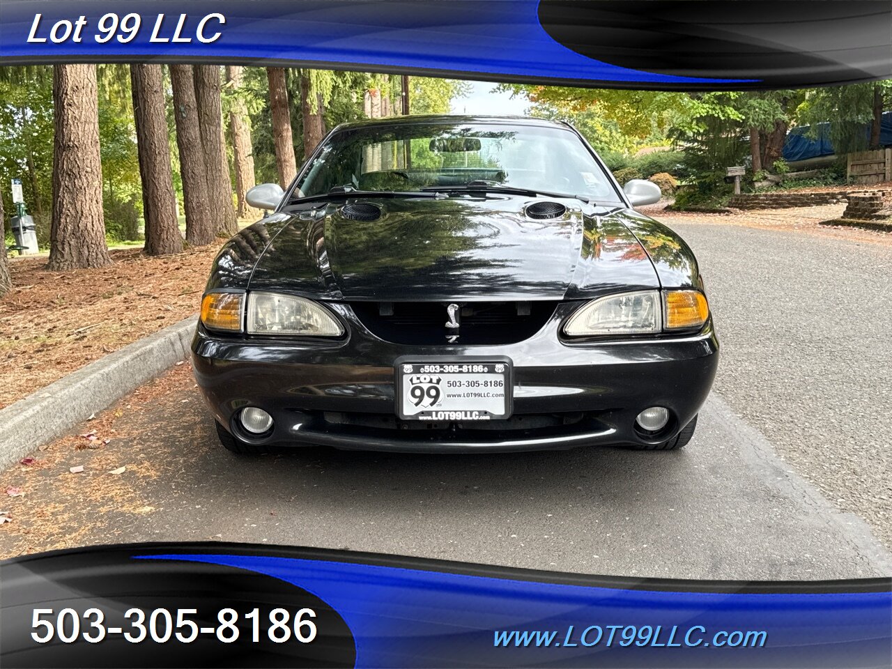 1998 Ford Mustang SVT COBRA 146k 5 Speed Manual Leather   - Photo 4 - Milwaukie, OR 97267