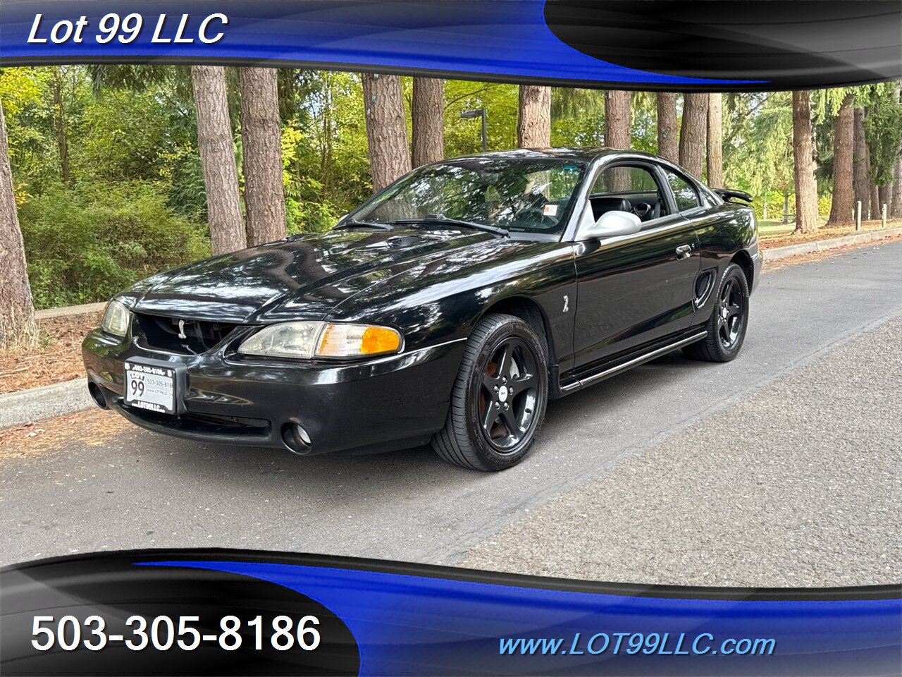 1998 Ford Mustang SVT COBRA 146k 5 Speed Manual Leather   - Photo 3 - Milwaukie, OR 97267